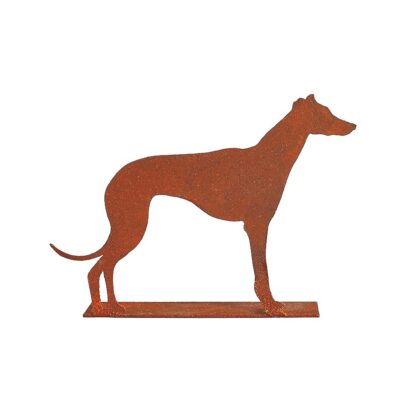 GALGO.jpg